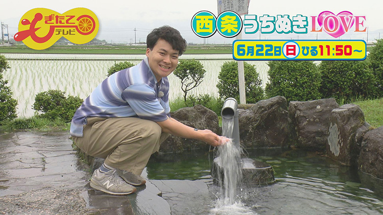 もぎたてテレビ