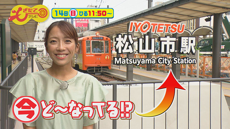 もぎたてテレビ