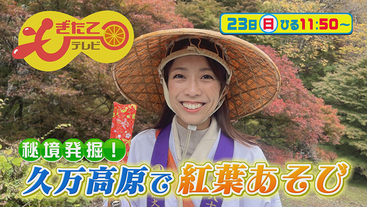 もぎたてテレビ