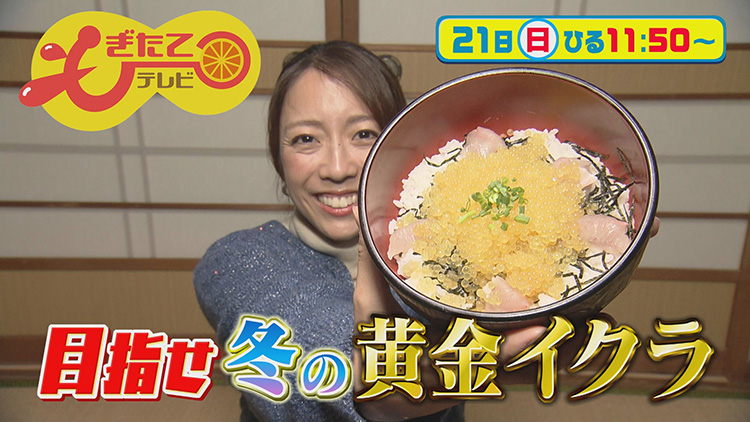 もぎたてテレビ