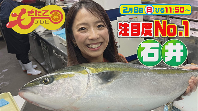 もぎたてテレビ