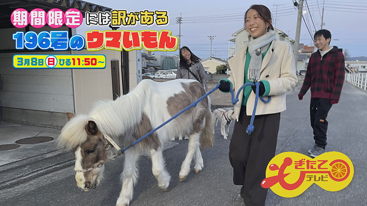 もぎたてテレビ