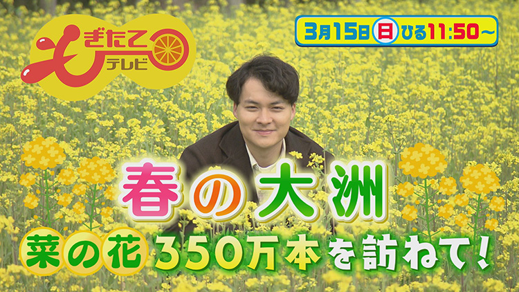 もぎたてテレビ