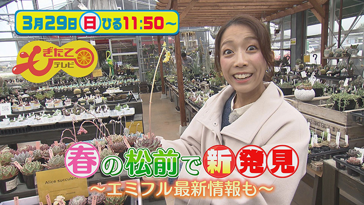 もぎたてテレビ