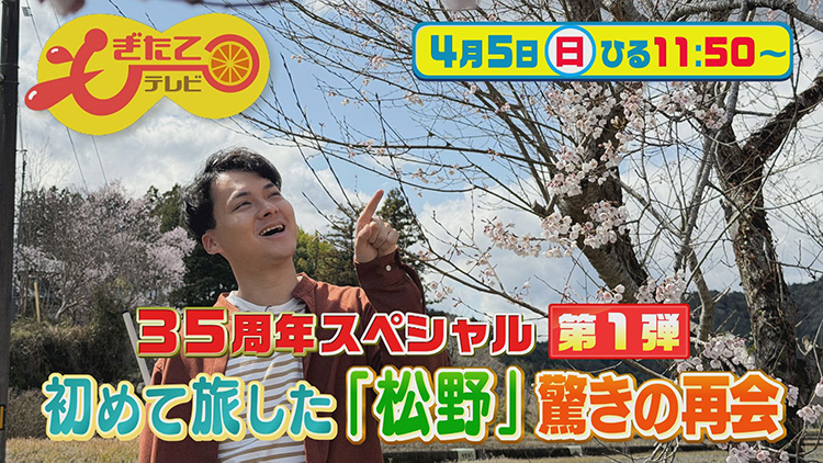 もぎたてテレビ