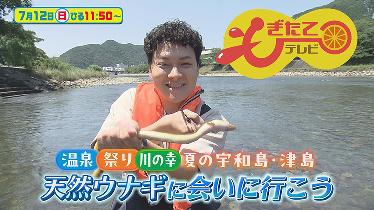 もぎたてテレビ