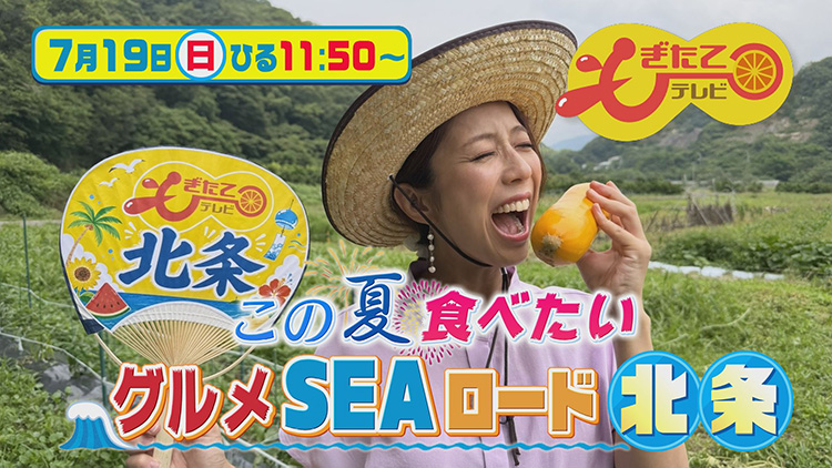 もぎたてテレビ