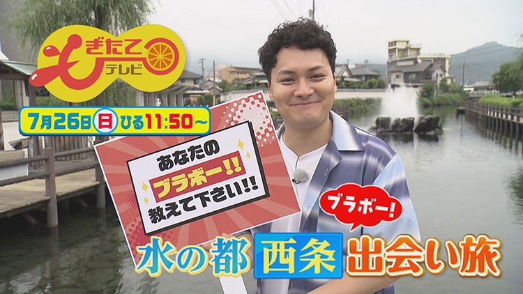 もぎたてテレビ