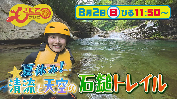 もぎたてテレビ