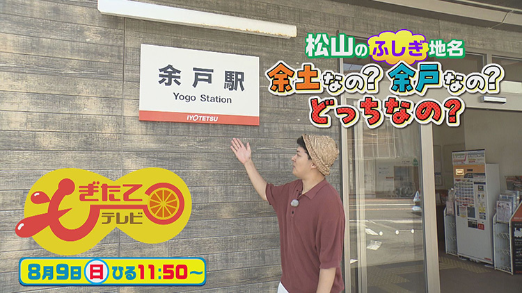 もぎたてテレビ
