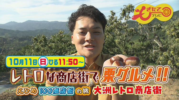 もぎたてテレビ