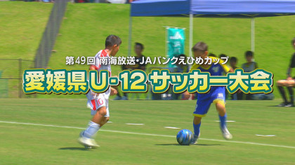 第49回 南海放送・JAバンクえひめカップ　愛媛県U-12サッカー大会