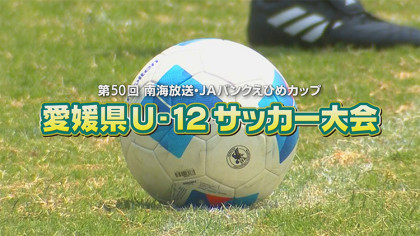 第50回 南海放送・JAバンクえひめカップ　愛媛県U-12サッカー大会