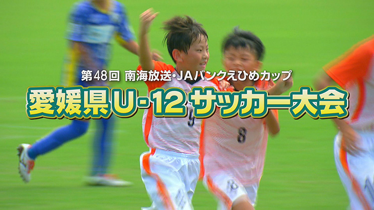 第48回 南海放送・JAバンクえひめカップ　愛媛県U-12サッカー大会