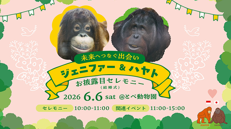 「未来へつなぐ出会い」～ジェニファー＆ハヤトお披露目セレモニー（結婚式）～