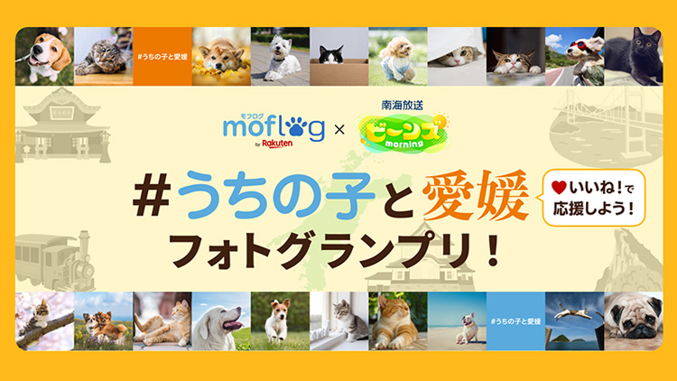 うちの子と愛媛フォトグランプリ！