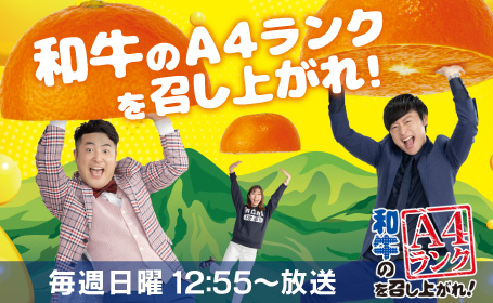 テレビ Rnb 南海放送 テレビ Rnb 南海放送