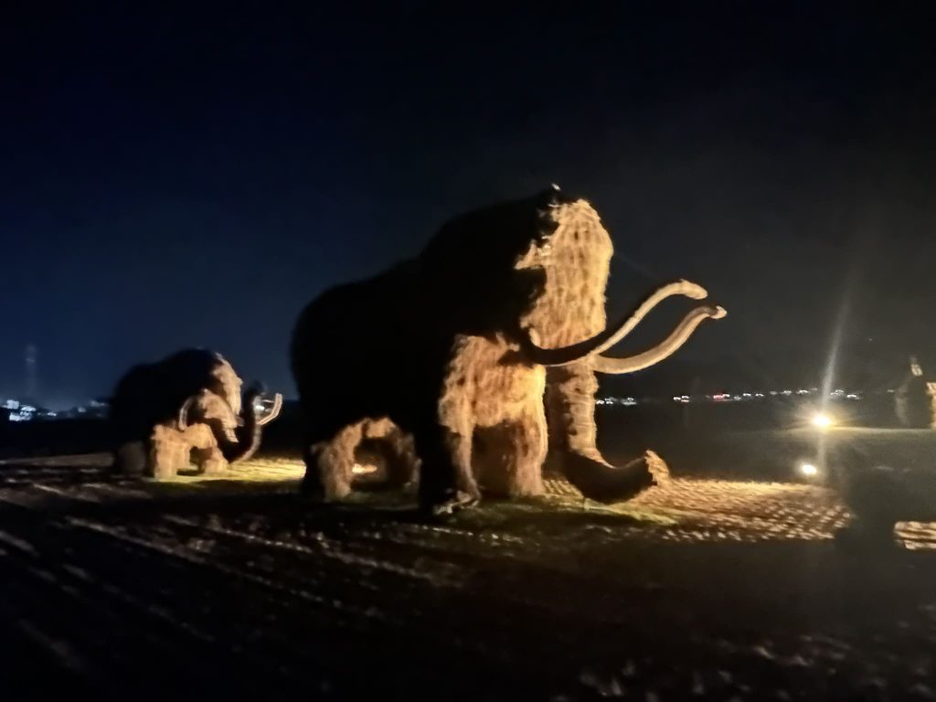 ライトアップされた藁マンモスアート7