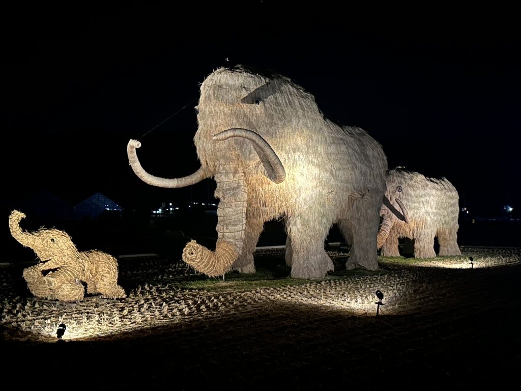 ライトアップされた藁マンモスアート6