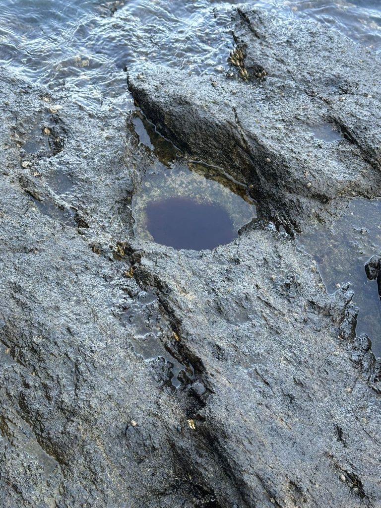 来島の岩礁ピット