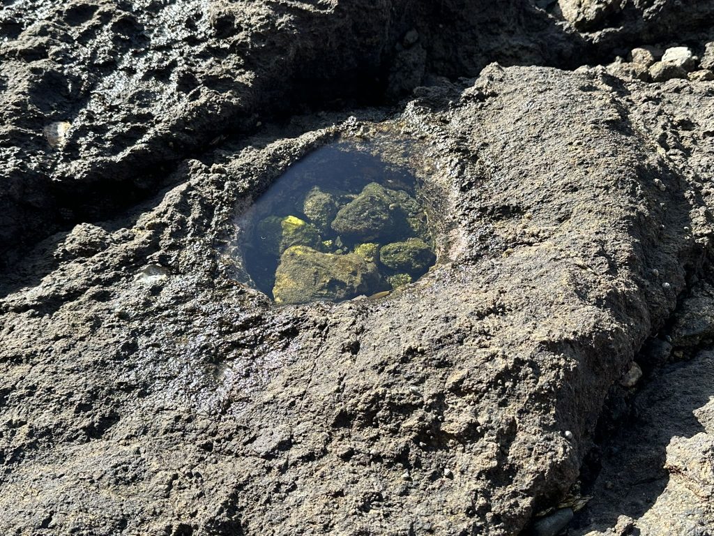 来島の岩礁ピット