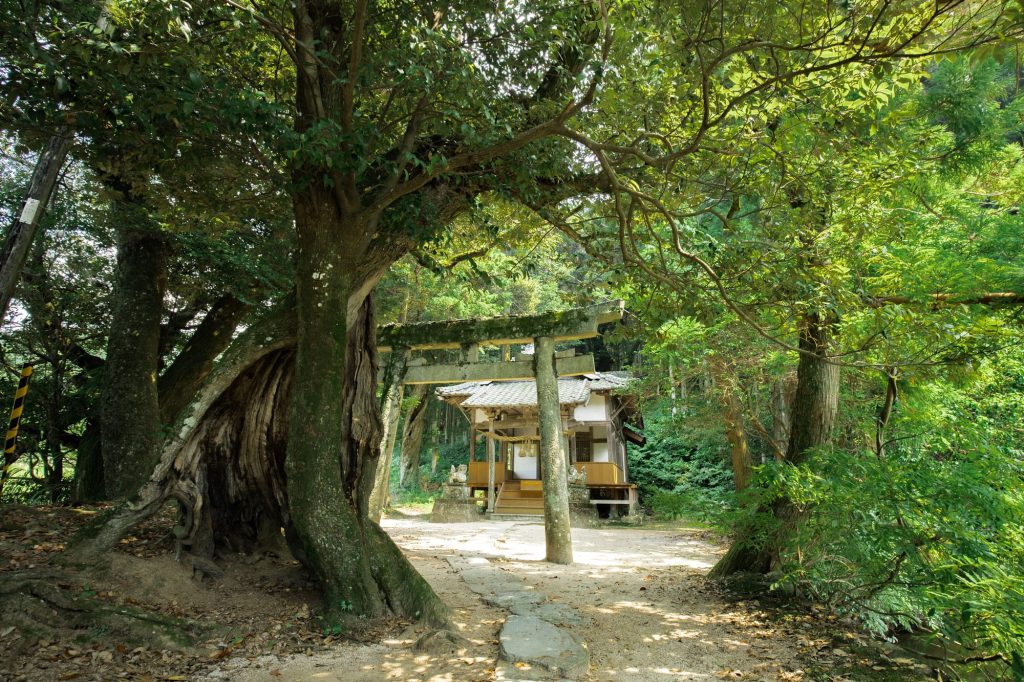 弓削神社本堂写真
