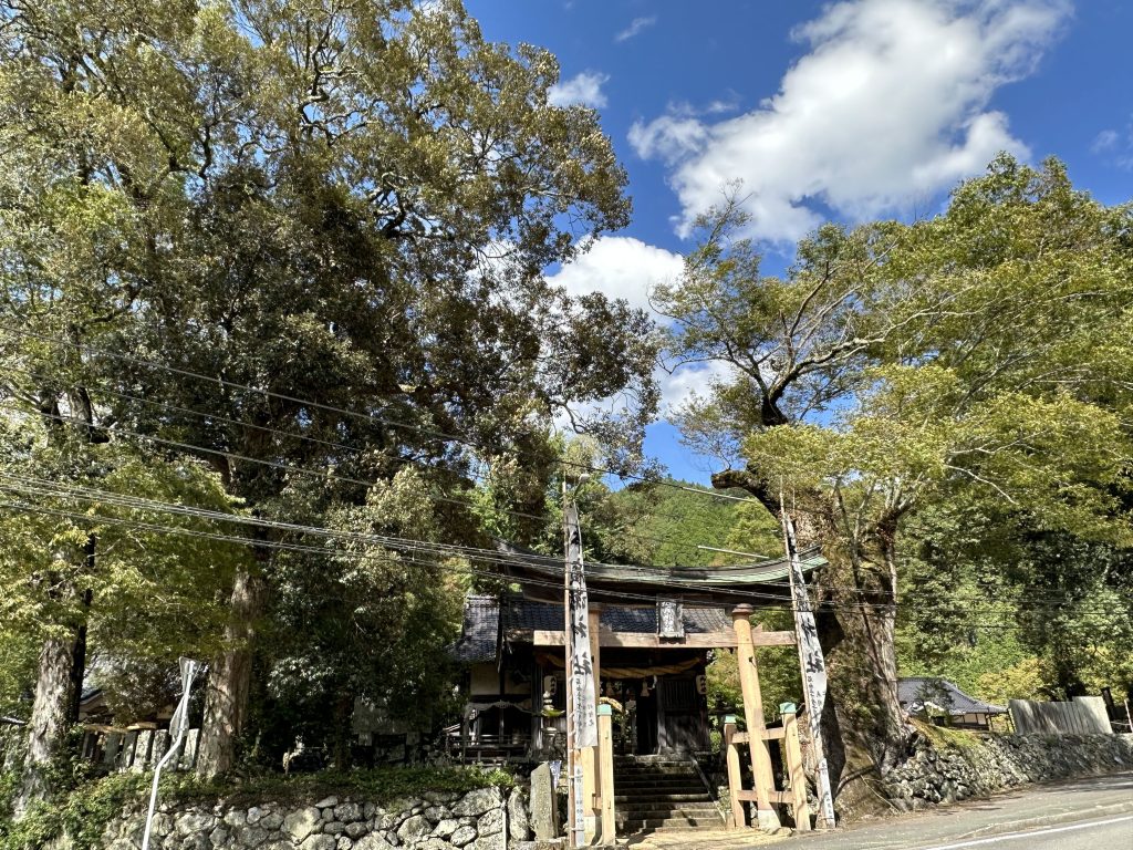 広瀬神社の御神木