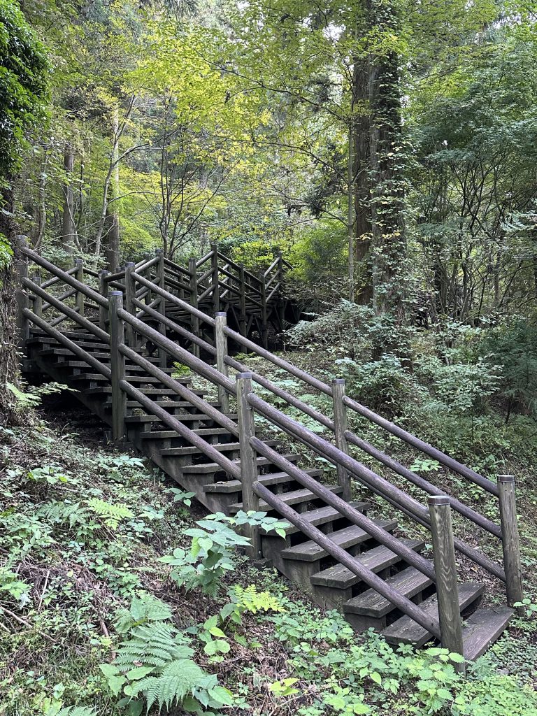 上林森林公園 風の森