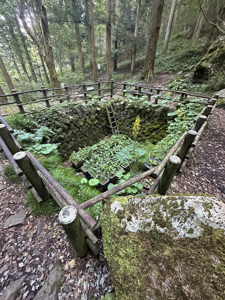 上林森林公園の風穴