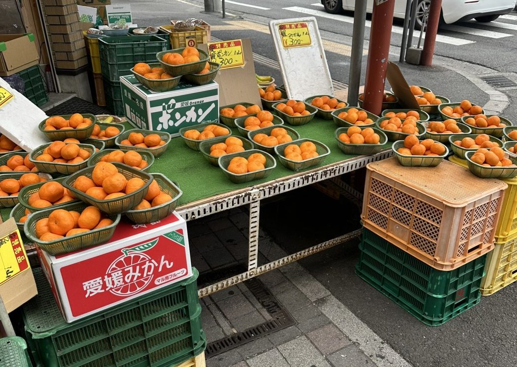 愛媛みかん
