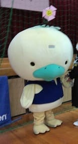 うわカモン