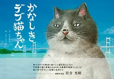 悲しきデブ猫ちゃん　すべての愛媛県民の「ものがたり」