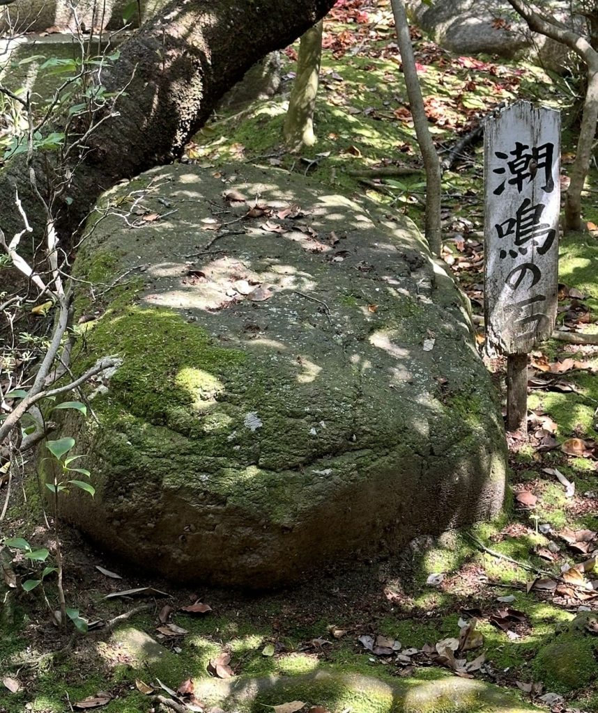 伊豫豆比古命神社(椿神社)潮鳴石