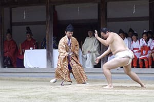 大山祇神社抜穂祭 愛媛県今治市