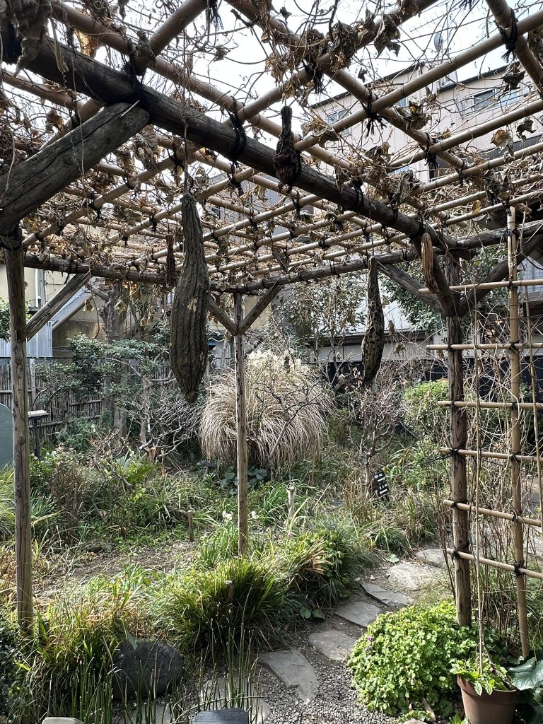 子規庵の糸瓜の写真