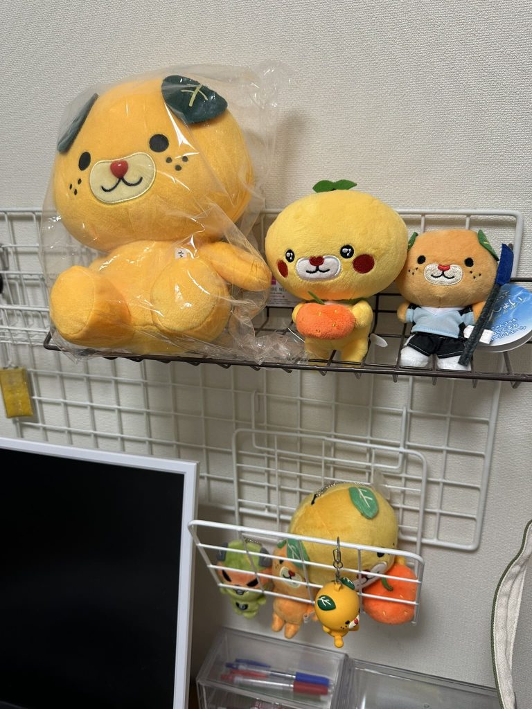 知り合いの部屋にたくさんのぬいぐるみみきゃん