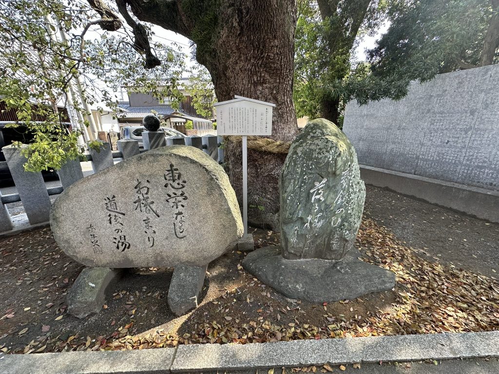 伊豫豆比古命神社(椿神社)の俳句の碑