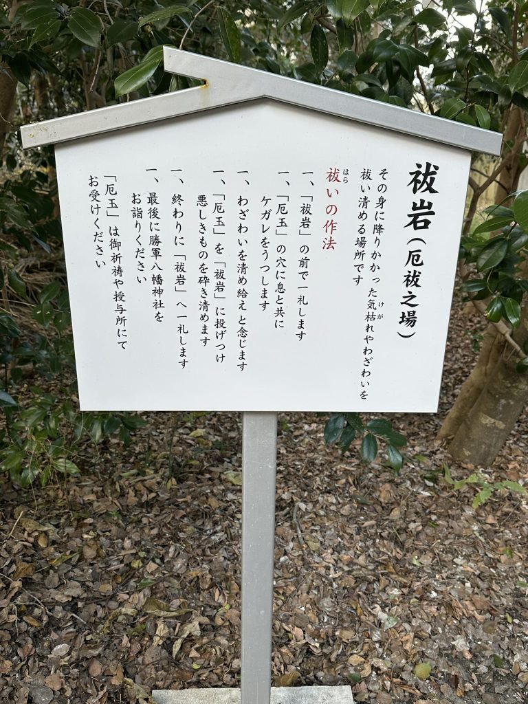 伊豫豆比古命神社(椿神社)祓岩で厄落とし4