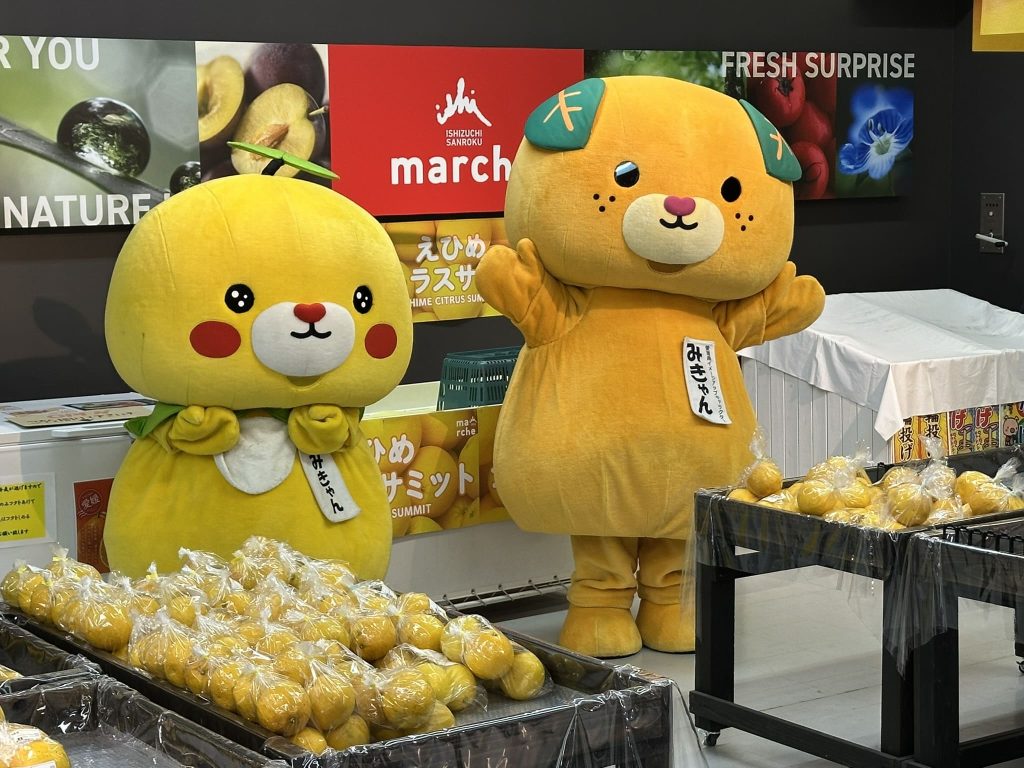 いしづち山麓マルシェのお土産売り場のみきゃんとこみきゃん