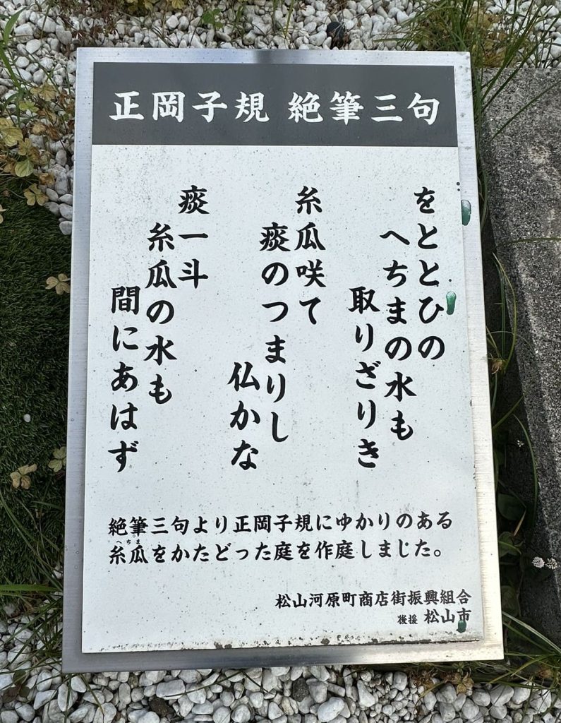子規の花通り3