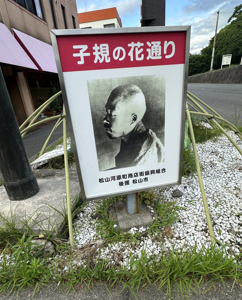 子規の花通り