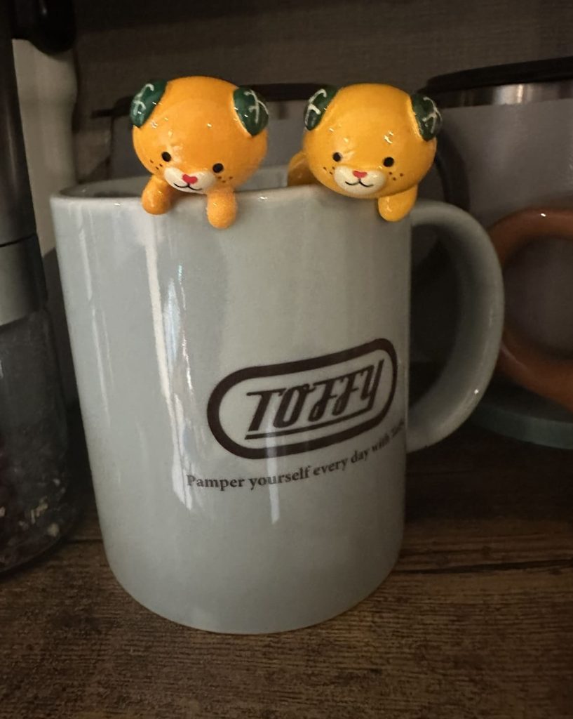 カップのふちみきゃん