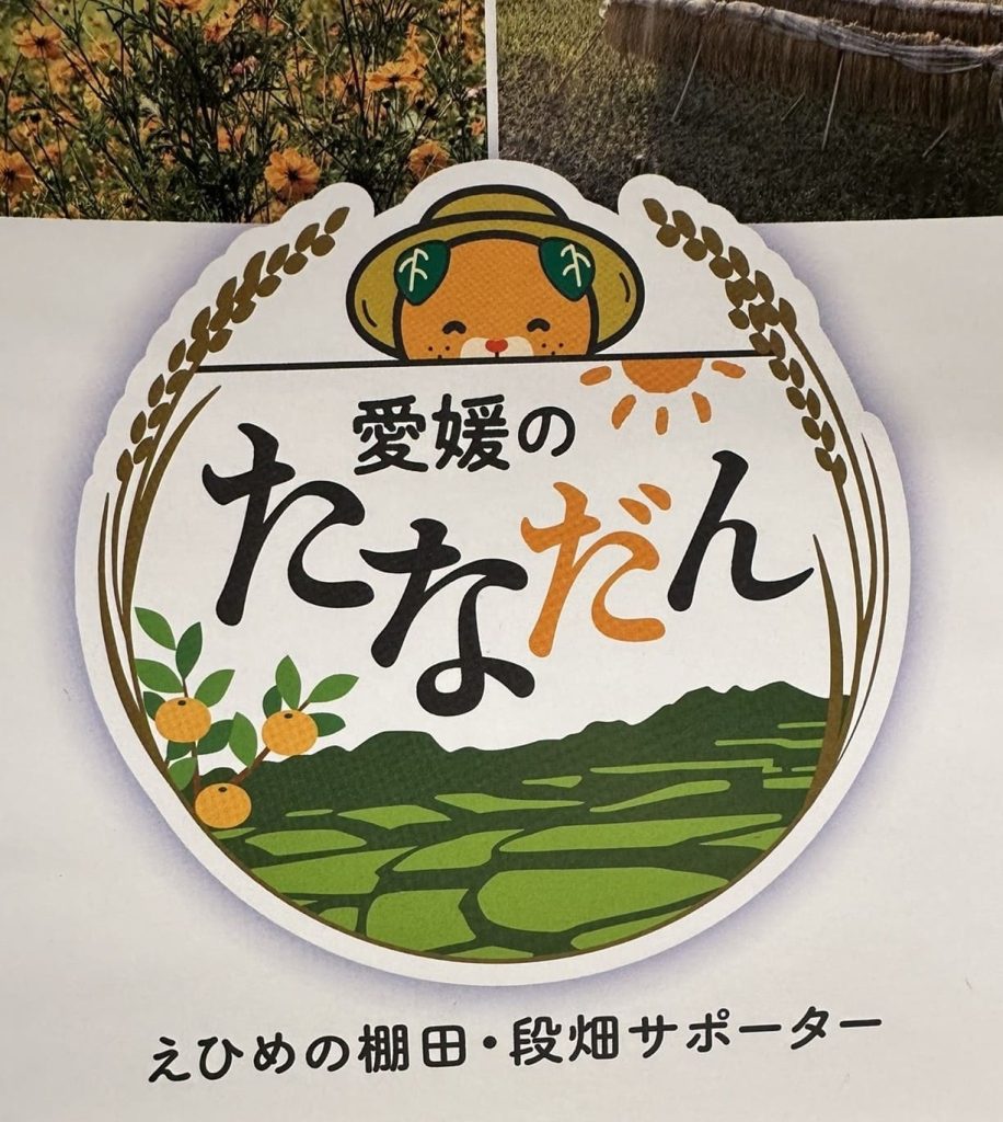 愛媛のたなだん帽子みきゃん