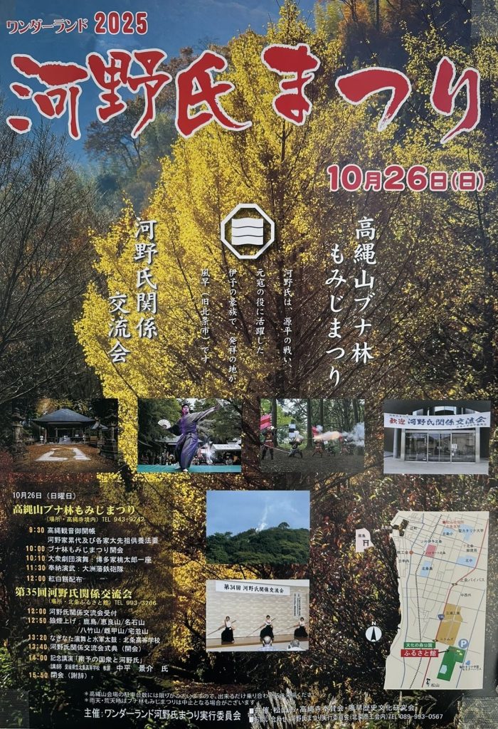 ワンダーランド河野氏祭り2025ポスター