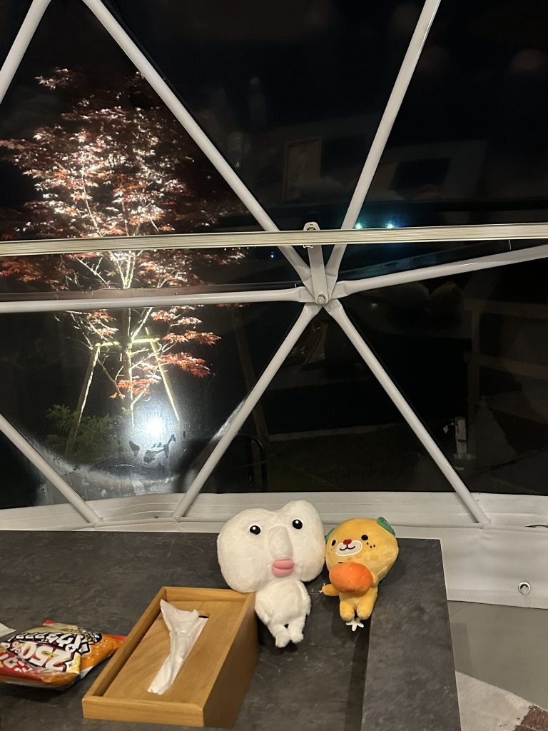 ITTEKURAi 松山、翠棟の夜5