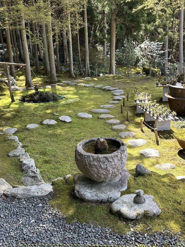 ギャラリー喫茶苔莚