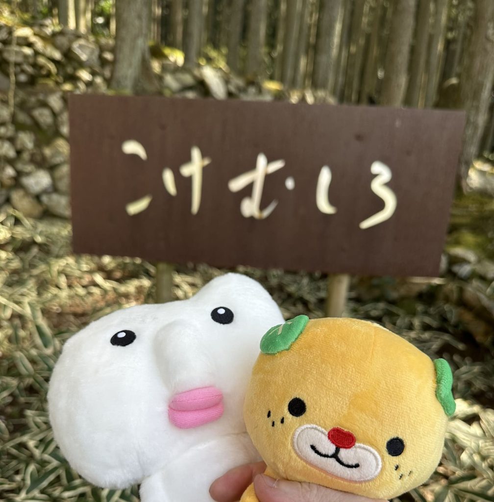 ギャラリー喫茶苔莚みきゃんとウィット君
