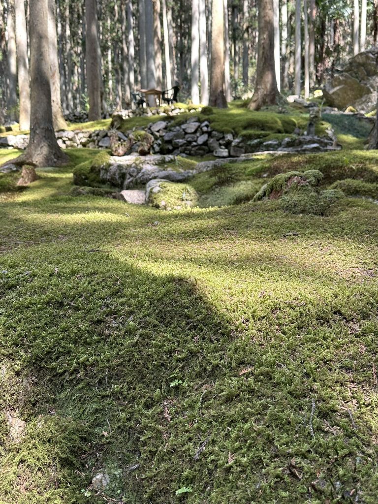 ギャラリー喫茶苔莚
