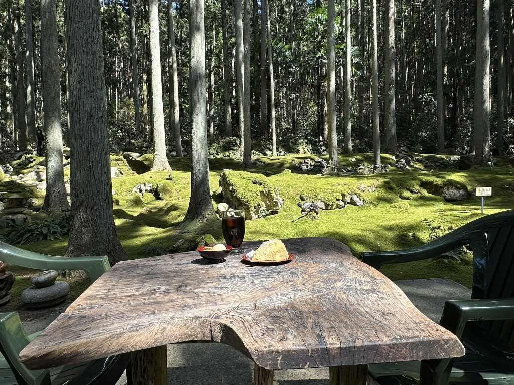 ギャラリー喫茶苔莚