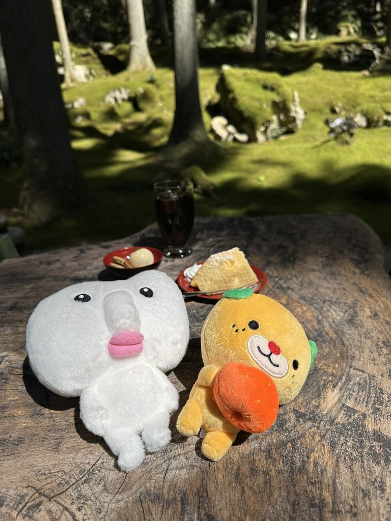 ギャラリー喫茶苔莚みきゃんとウイット君2